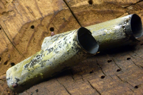 rolled tubes recycled jewelry